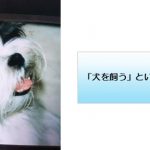 「犬を飼う」という健康法！