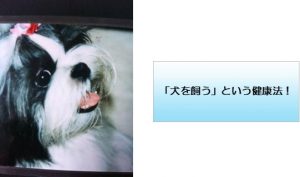 「犬を飼う」という健康法!