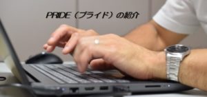 PRIDE（プライド）の紹介【その１】資産型ブログ構築！！